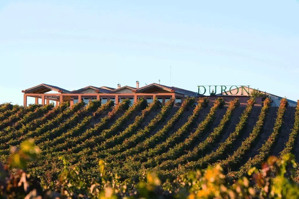 Bodegas Durón