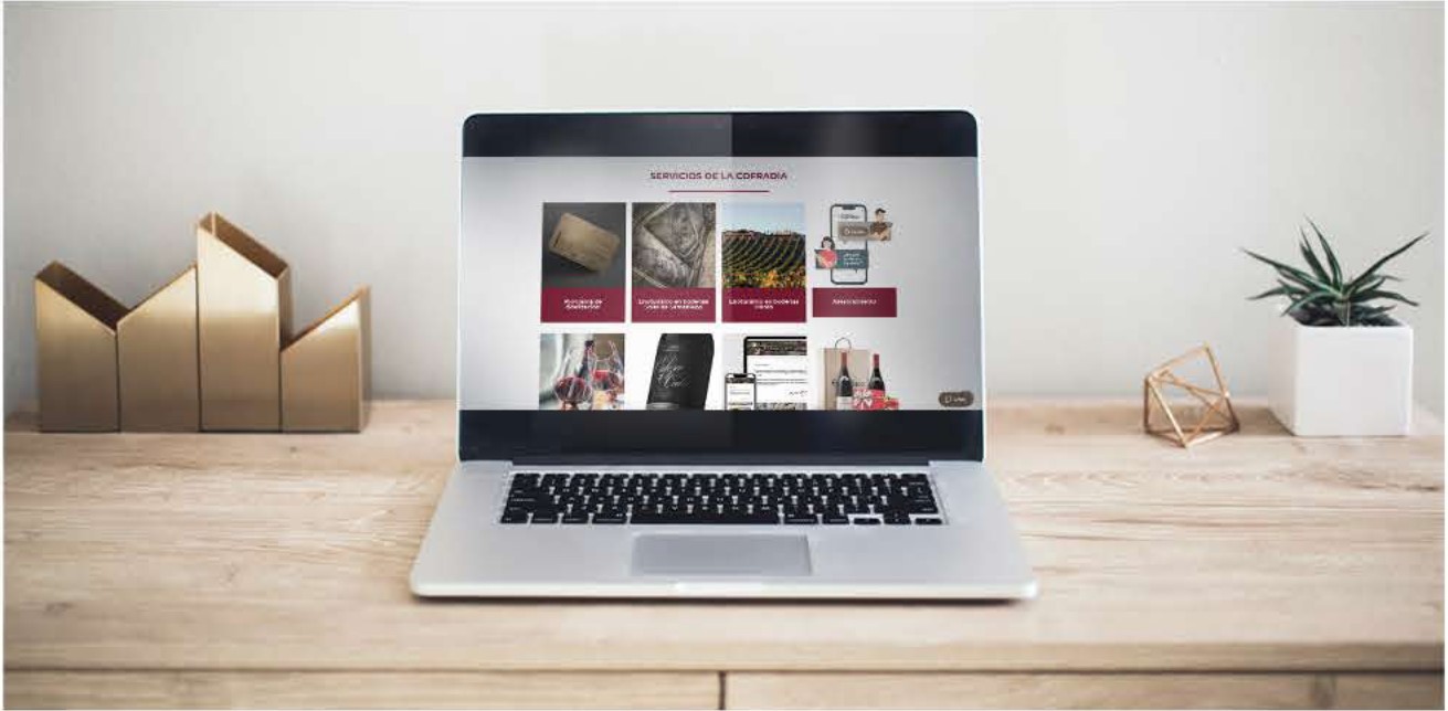 Nueva Web