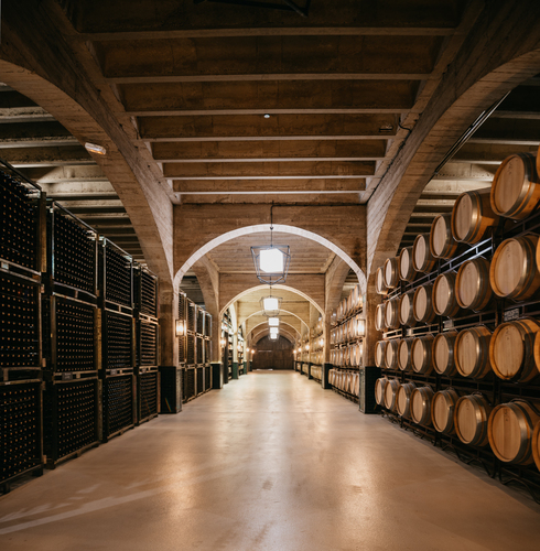 Visita bodega Rioja