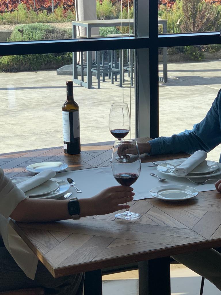 que vino elegir para la comida