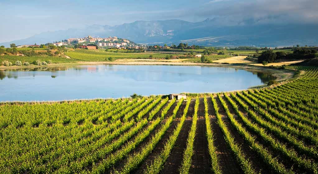 Lagunas de Laguardia