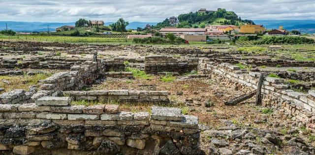 Yacimiento Arquológico Poblado de La Hoya