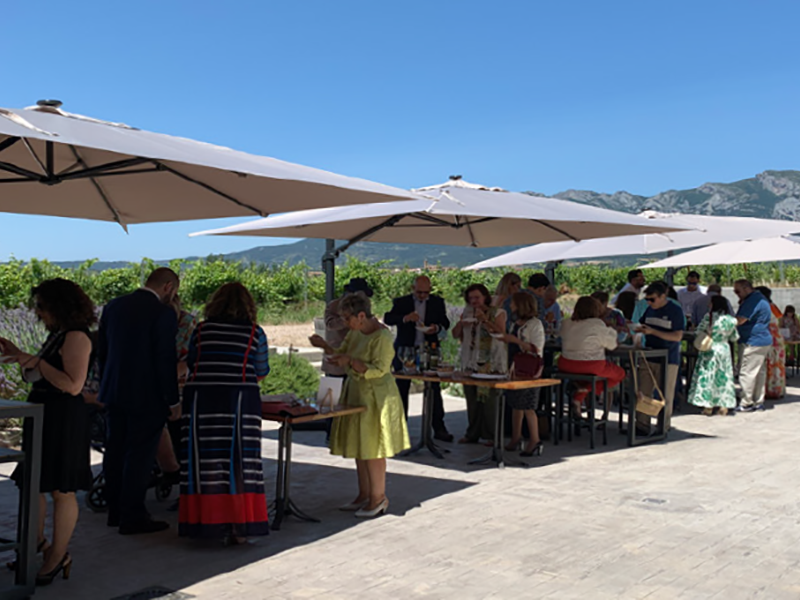 Terraza con viñedo turístico