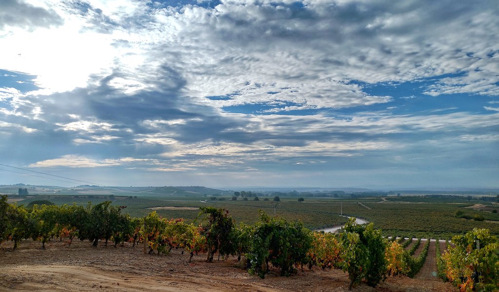 riojawine