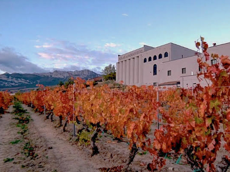 Bodega San Lázaro Rioja Alavesa