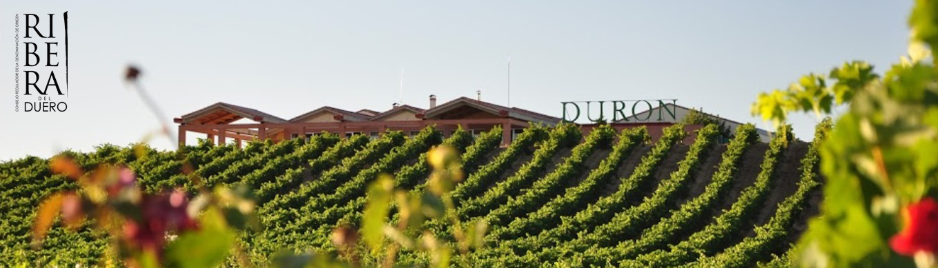 Viñedos Durón Ribera del Duero
