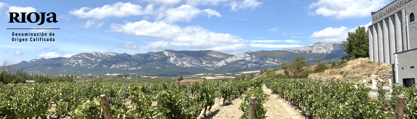 Bodega Rioja Alavesa